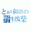 とある和谐の野生废柴（大丈夫，＜哔———＞！！）