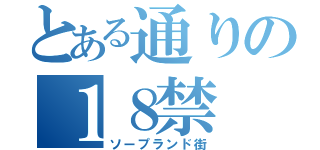 とある通りの１８禁（ソープランド街）