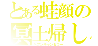 とある蛙顔の冥土帰し（ヘブンキャンセラー）