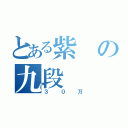 とある紫の九段（３０万）