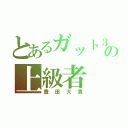 とあるガット３０の上級者（豊田大貴）