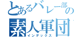 とあるバレー部の素人軍団記（インデックス）