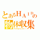 とあるＨＡＩＤＯの物体収集（アイテムトレジャー）