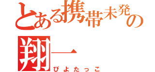 とある携帯未発送の翔一（ぴよたっこ）