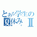 とある学生の夏休みⅡ（遊び）