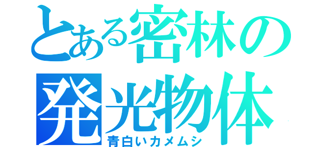 とある密林の発光物体（青白いカメムシ）