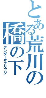 とある荒川の橋の下（アンダーザブリッジ）