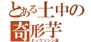 とある土中の奇形芋（チュウソンン豪）