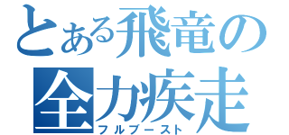 とある飛竜の全力疾走（フルブースト）