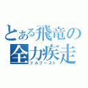 とある飛竜の全力疾走（フルブースト）