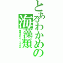 とあるわかめの海藻類（味噌汁に入ってるあれ）