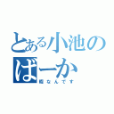 とある小池のばーか（暇なんです）