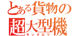 とある貨物の超大型機（キンタロウ）