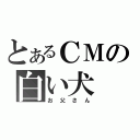 とあるＣＭの白い犬（お父さん）