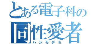 とある電子科の同性愛者（ハシモチョ）