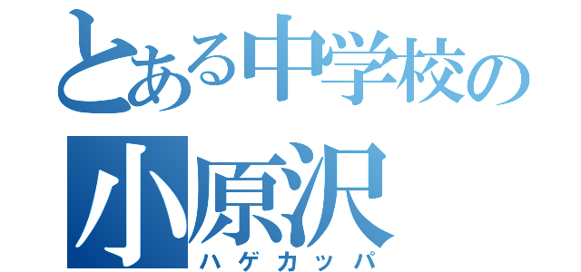 とある中学校の小原沢（ハゲカッパ）