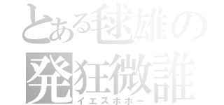 とある毬雄の発狂微誰（イエスホホー）