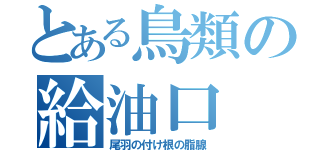 とある鳥類の給油口（尾羽の付け根の脂腺）