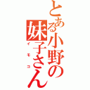 とある小野の妹子さん（イモコ）