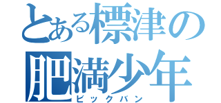 とある標津の肥満少年（ビックバン）