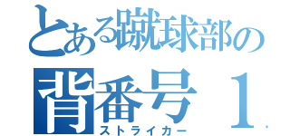 とある蹴球部の背番号１０（ストライカー）