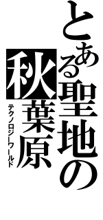 とある聖地の秋葉原（テクノロジーワールド）