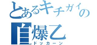 とあるキチガイの自爆乙（ドッカーン）