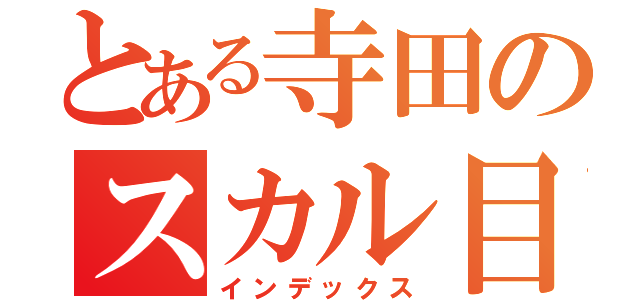 とある寺田のスカル目録（インデックス）