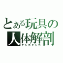 とある玩具の人体解剖（クンカクンカ）