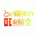 とある蹴球の中東航空（フライエミレーツ）