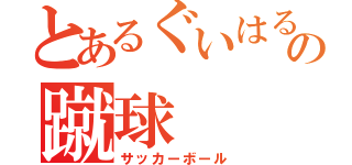 とあるぐいはるの蹴球（サッカーボール）