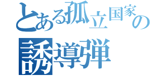 とある孤立国家の誘導弾（）