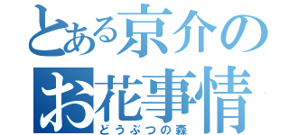 とある京介のお花事情（どうぶつの森）