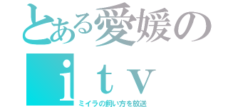 とある愛媛のｉｔｖ（ミイラの飼い方を放送）