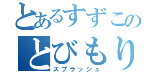 とあるすずこのとびもり買いたい（スプラッシュ）