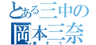 とある三中の岡本三奈（臭そう）