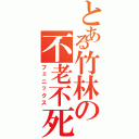 とある竹林の不老不死（フェニックス）