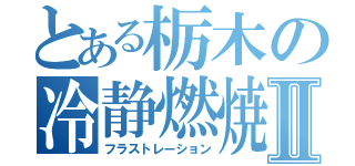 とある栃木の冷静燃焼Ⅱ（フラストレーション）