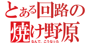 とある回路の焼け野原（なんで、こうなった）