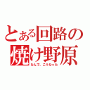 とある回路の焼け野原（なんで、こうなった）