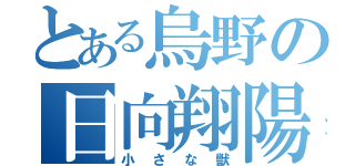 とある烏野の日向翔陽（小さな獣）