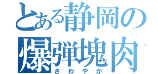 とある静岡の爆弾塊肉（さわやか）