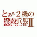 とある２機の極殺兵器Ⅱ（真・緋蜂－改）