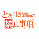 とある傲嬌猫の禁止事項（丟小米）