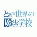 とある世界の魔法学校（マグノシュタッド）