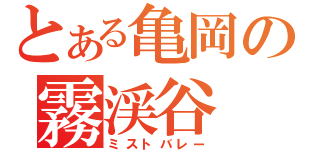 とある亀岡の霧渓谷（ミストバレー）