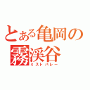 とある亀岡の霧渓谷（ミストバレー）