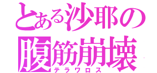 とある沙耶の腹筋崩壊（テラワロス）