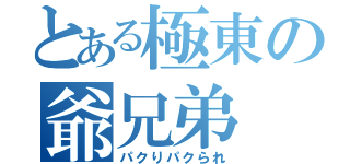 とある極東の爺兄弟（パクりパクられ）