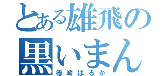 とある雄飛の黒いまんこ（徳崎はるか）